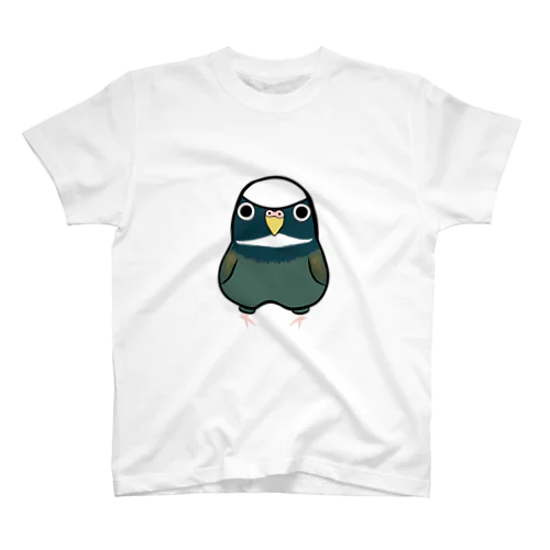 メキシコシロガシラインコ スタンダードTシャツ