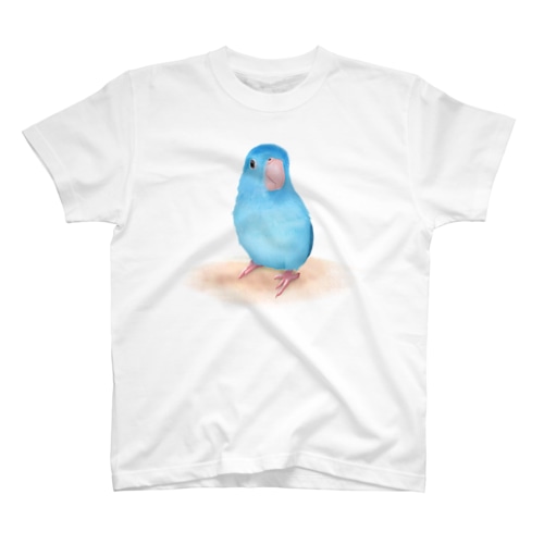 ブルーマメルリハ【まめるりはことり】 Regular Fit T-Shirt