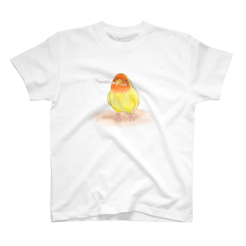 コザクラインコ　レイ【まめるりはことり】 スタンダードTシャツ