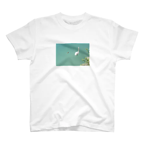 swan and intruder Regular Fit T-Shirt