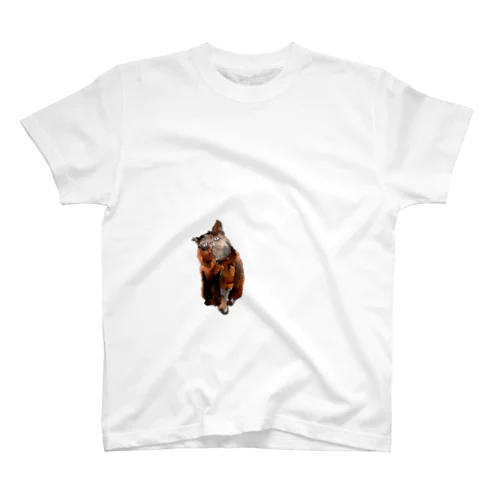 エキゾチック　猫 スタンダードTシャツ