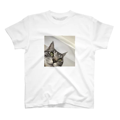 neko tubaki Regular Fit T-Shirt