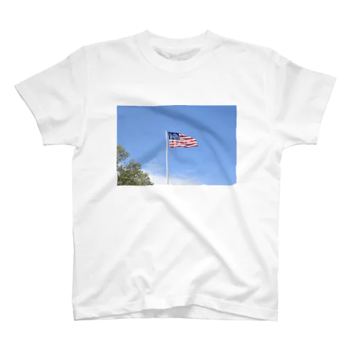 U.S.A スタンダードTシャツ
