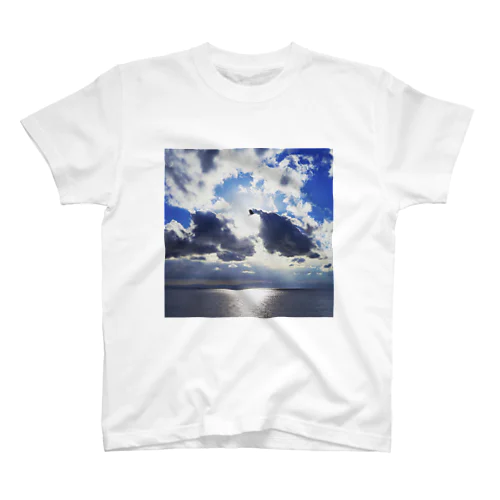 Bird in the sky スタンダードTシャツ