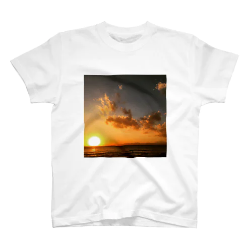 Under the Sun Regular Fit T-Shirt