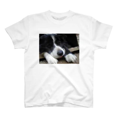 黒い犬 Regular Fit T-Shirt