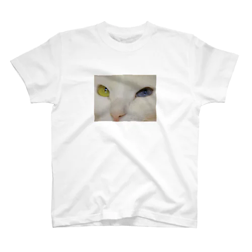 オッドアイcat スタンダードTシャツ