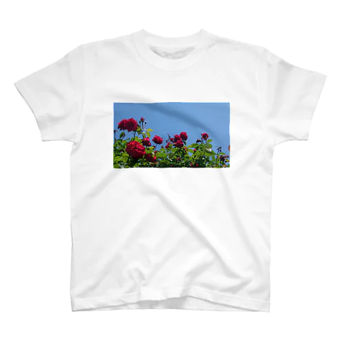 薔薇と青空 Regular Fit T-Shirt