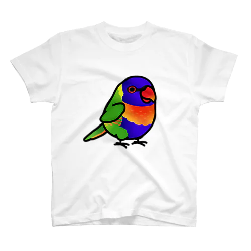 Chubby Bird　ゴシキセイガイインコ スタンダードTシャツ