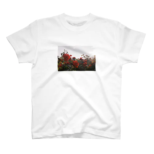 薔薇 スタンダードTシャツ