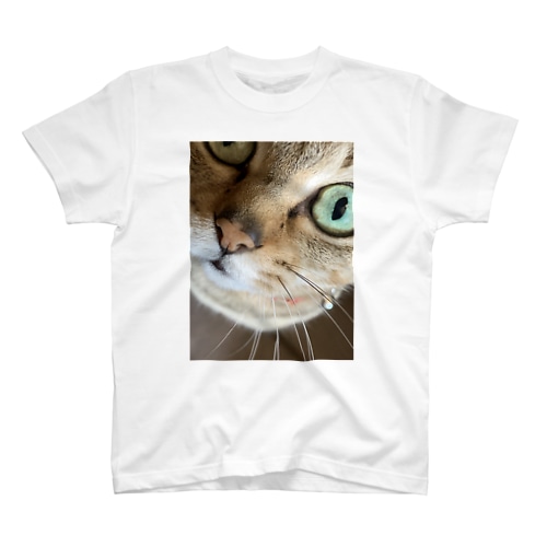 猫の名は、、、 Regular Fit T-Shirt