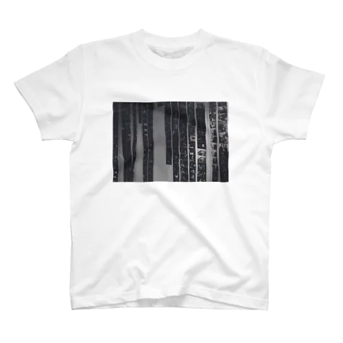 FILM Regular Fit T-Shirt