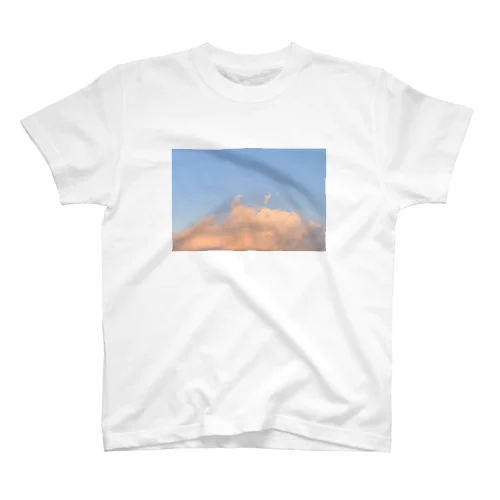 reach for the sky  티셔츠
