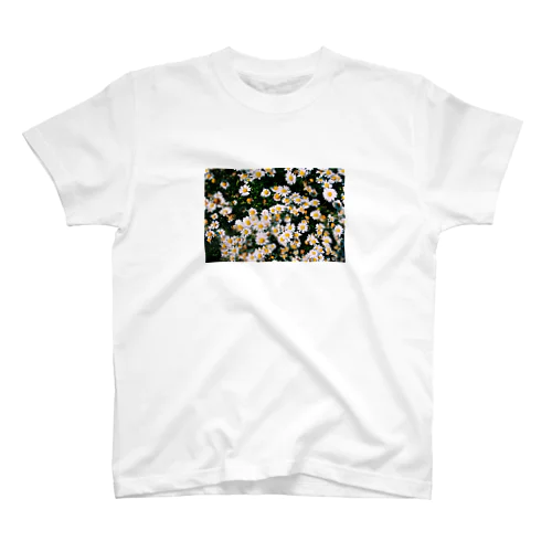 小さい白い花畑 Regular Fit T-Shirt