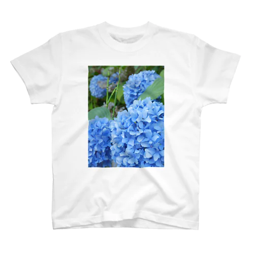 紫陽花 スタンダードTシャツ