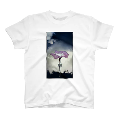 Symbiosis(Flower walk) Regular Fit T-Shirt