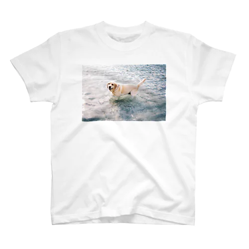 式根島の犬 スタンダードTシャツ