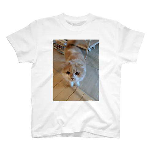 ねこちゃん Regular Fit T-Shirt