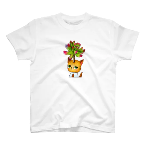 ちーちゃんシリーズ☆多肉植物 スタンダードTシャツ