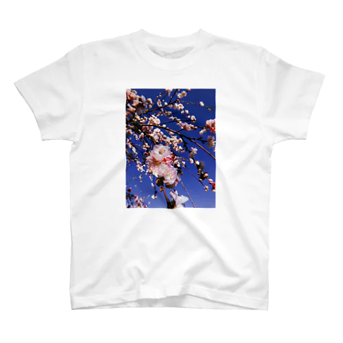 FLOWER Regular Fit T-Shirt