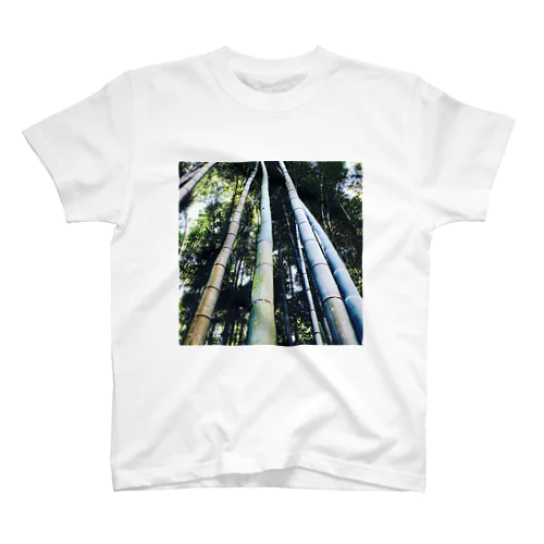 bamboo Regular Fit T-Shirt