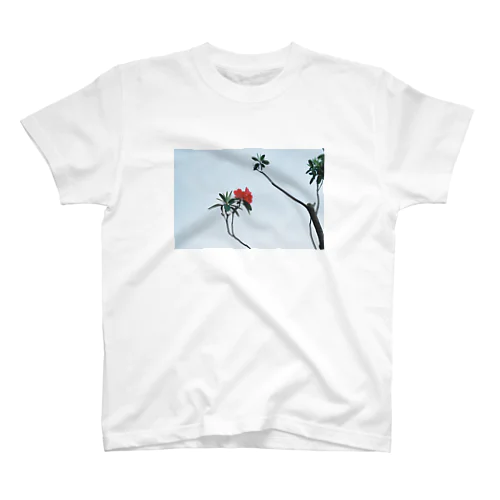 空と花（ツツジ） Regular Fit T-Shirt