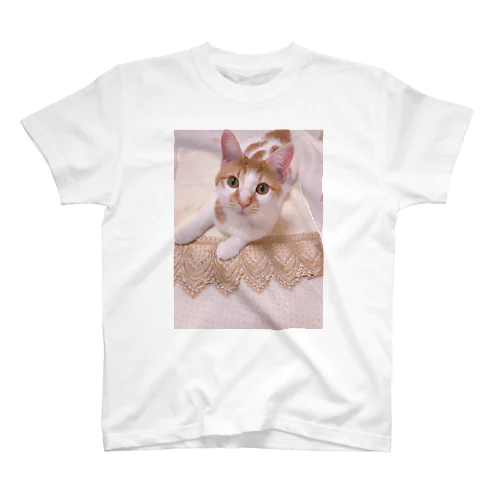 保護猫あんず君① スタンダードTシャツ