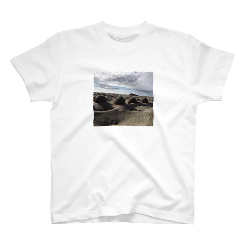 浜辺のやつ スタンダードTシャツ