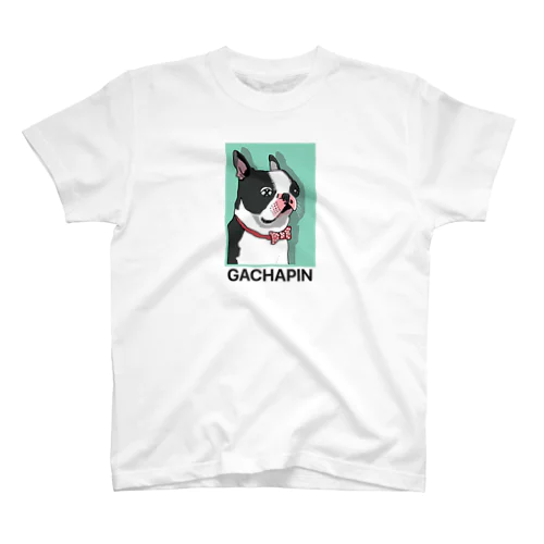 DAME PET Regular Fit T-Shirt