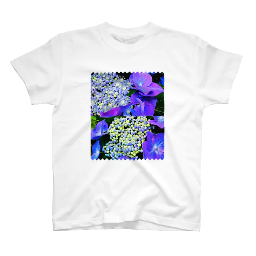 ガクアジサイの花と蕾 スタンダードTシャツ