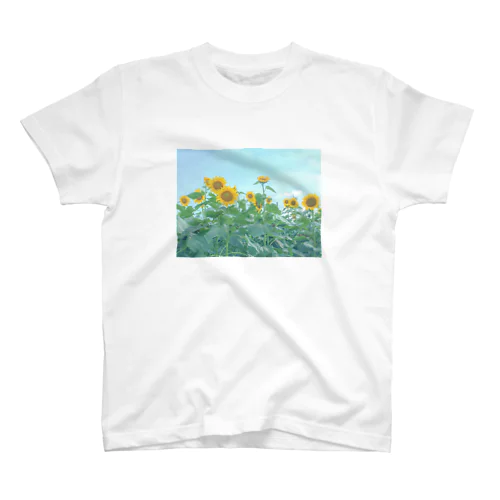 ひまわり畑Tシャツ スタンダードTシャツ