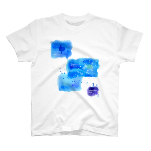 ウリクラゲとマンボウとチンアナゴの四角い海 Regular Fit T-Shirt