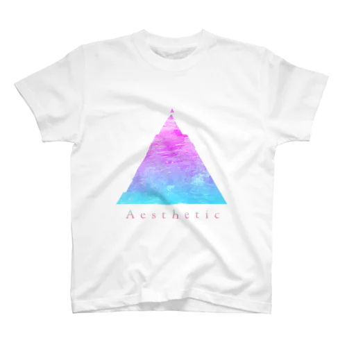 Aesthetic Regular Fit T-Shirt