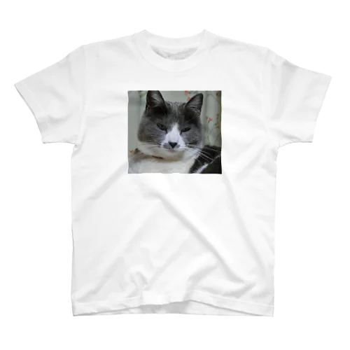 ぶちこ Regular Fit T-Shirt