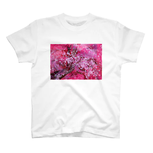 SAKURA-001 スタンダードTシャツ