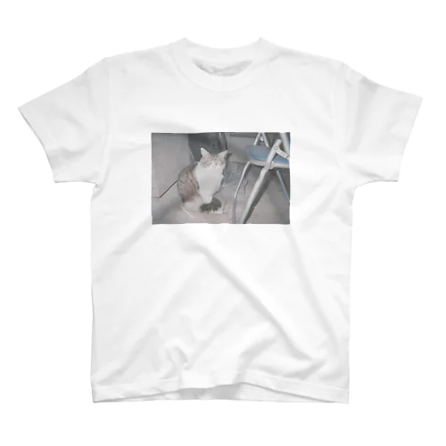 ねこ スタンダードTシャツ