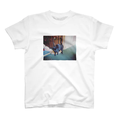 Paris cat Regular Fit T-Shirt