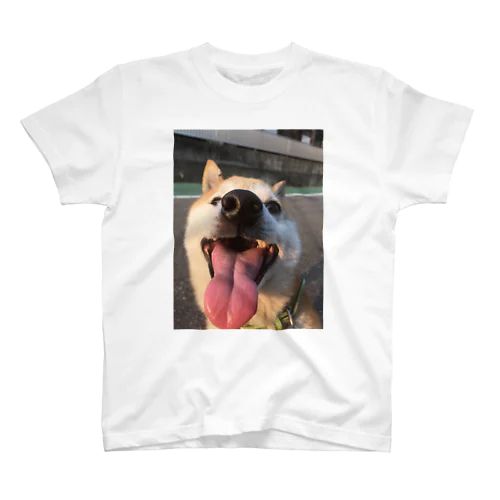 ゆかいな犬3Dシャツ 笑顔ver Regular Fit T-Shirt