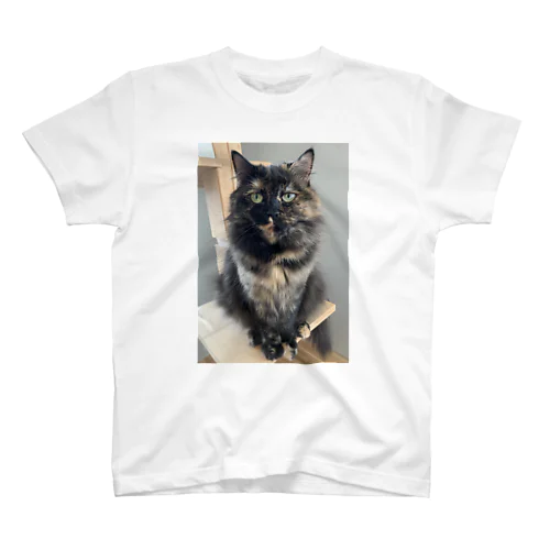 サビ猫すみれちゃん Regular Fit T-Shirt