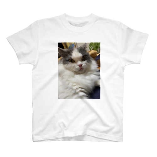 てつろうくん Regular Fit T-Shirt