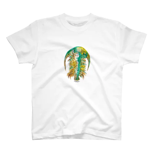 Paradoxides Regular Fit T-Shirt