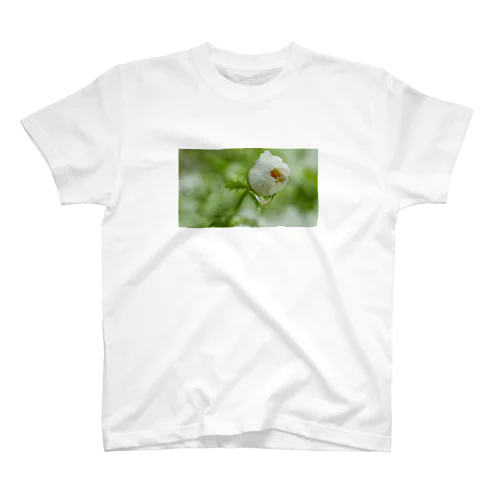 水が滴る白い花の蕾 Regular Fit T-Shirt