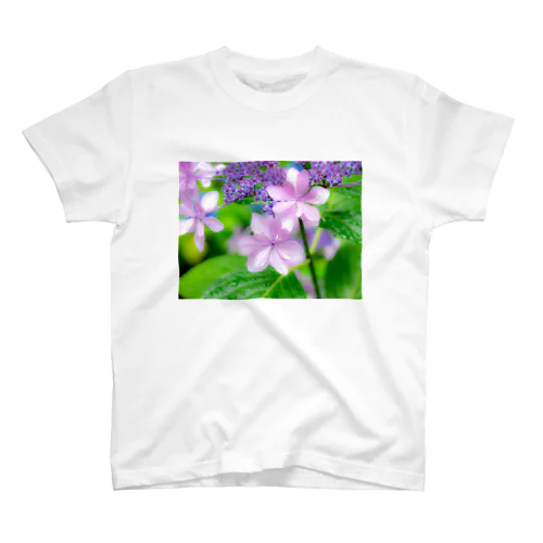 紫陽花 スタンダードTシャツ