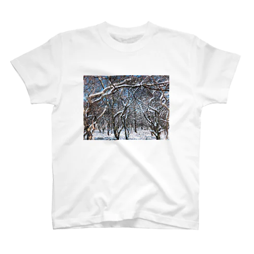 雪山サンダル スタンダードTシャツ