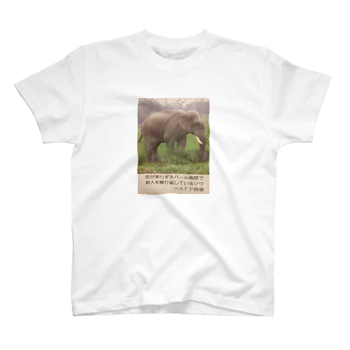 ネパールの象 スタンダードTシャツ