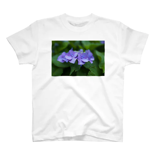 紫陽花 スタンダードTシャツ