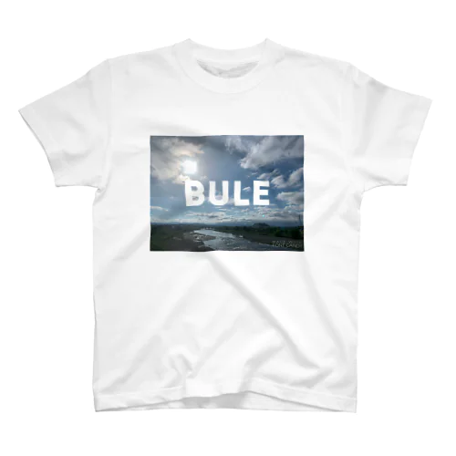 BLUE 自然 スタンダードTシャツ