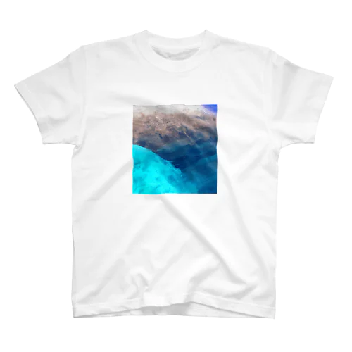 Earth 티셔츠