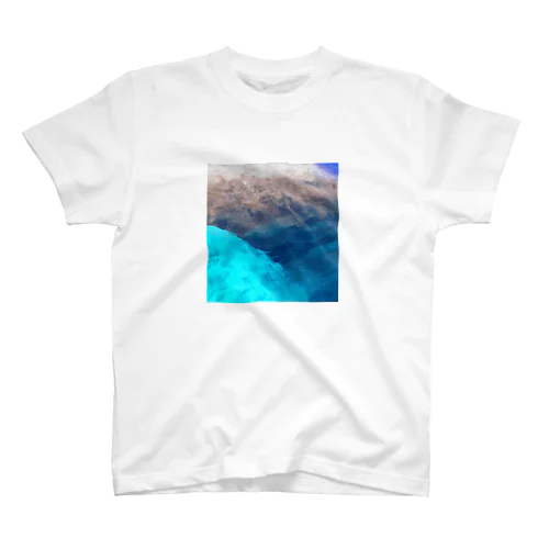 Earth Regular Fit T-Shirt