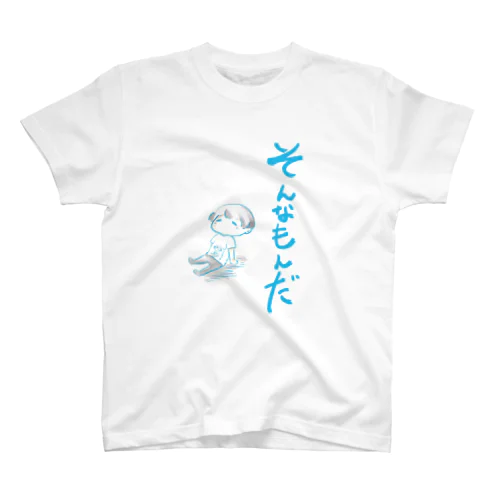 そんなもんだ スタンダードTシャツ